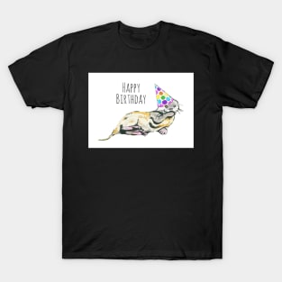 Happy Birthday Otter in Party Hat T-Shirt